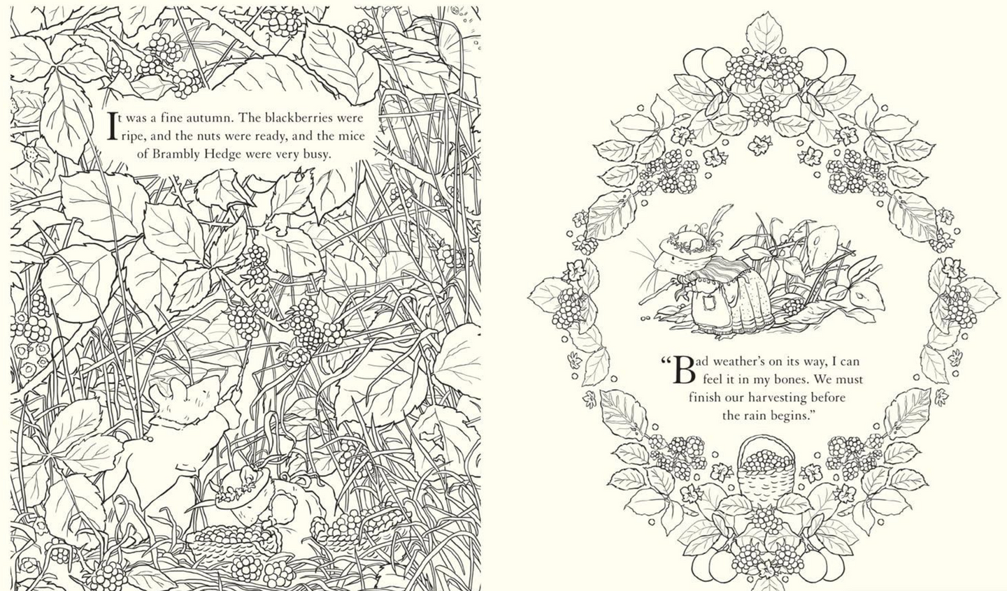 Brambly Hedge: Festive Colouring Book