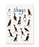 Sarah Edmonds A4 Print - Shags